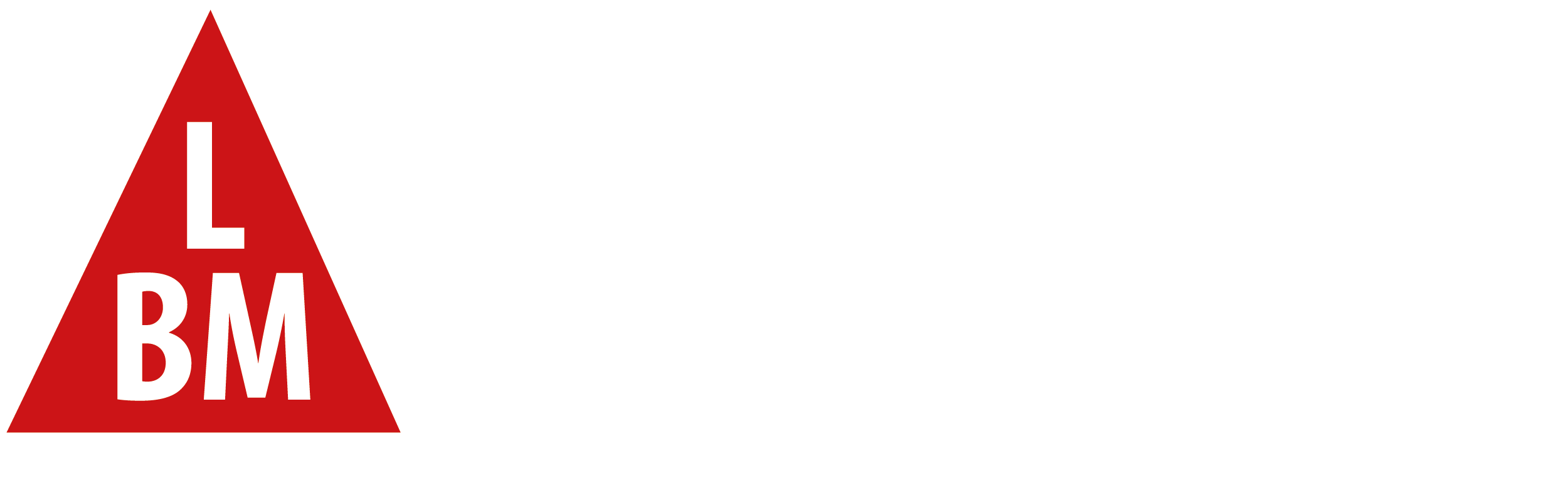LBM Metallbau Rothenburg
